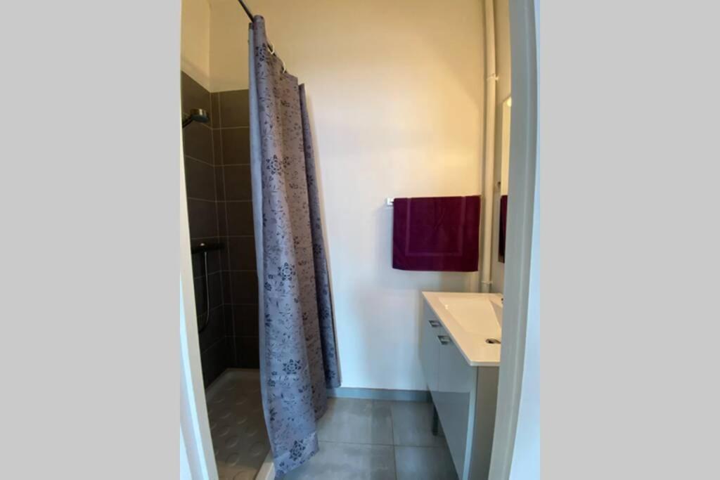 Royan 2P - Centre - 300M Plage Apartment Екстериор снимка